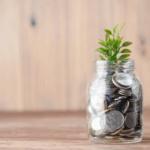 The Most Sustainable Gift Isn’t a Donation, It’s a Donor-Advised Fund  preview