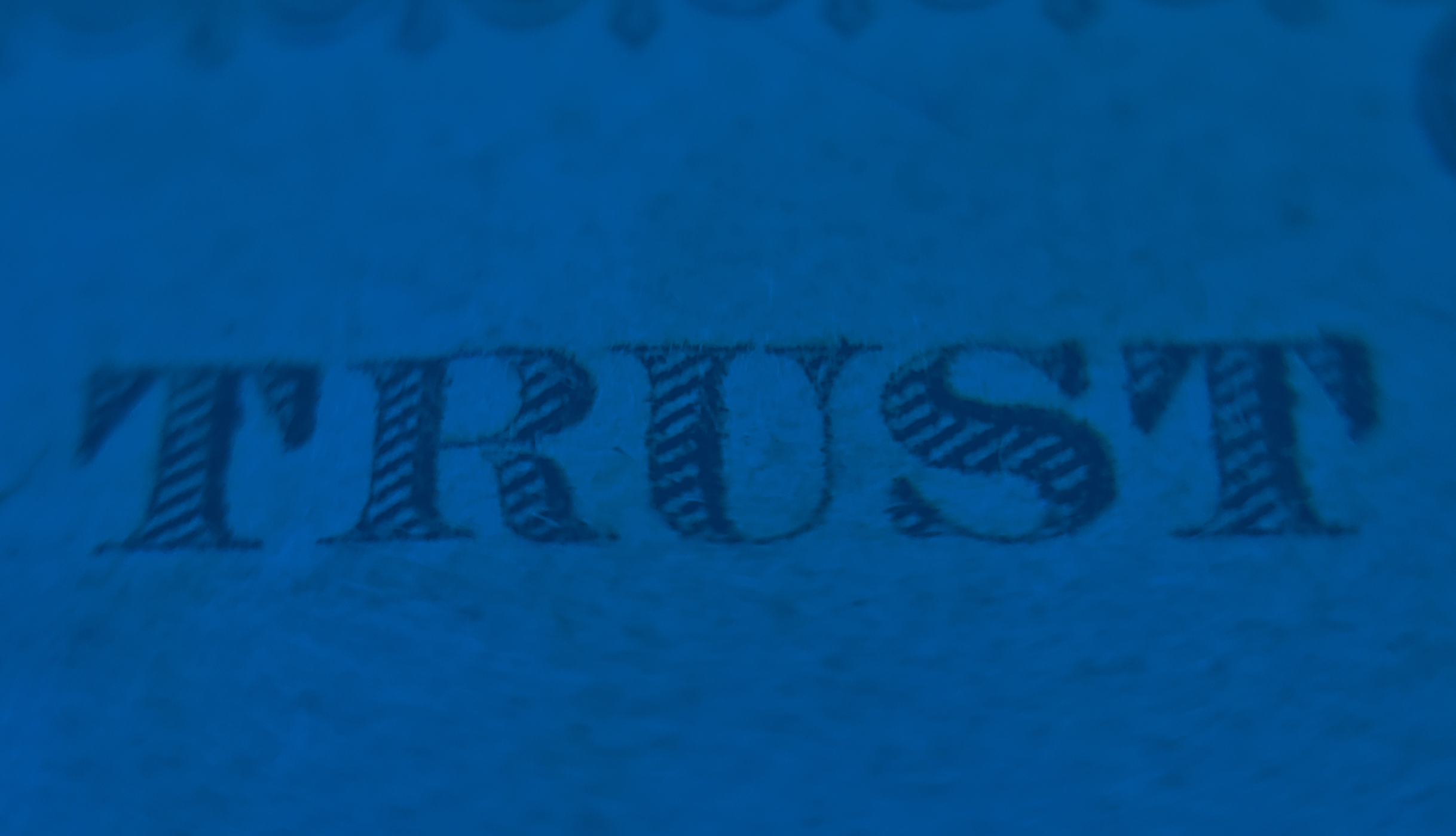 The word trust printed on paper